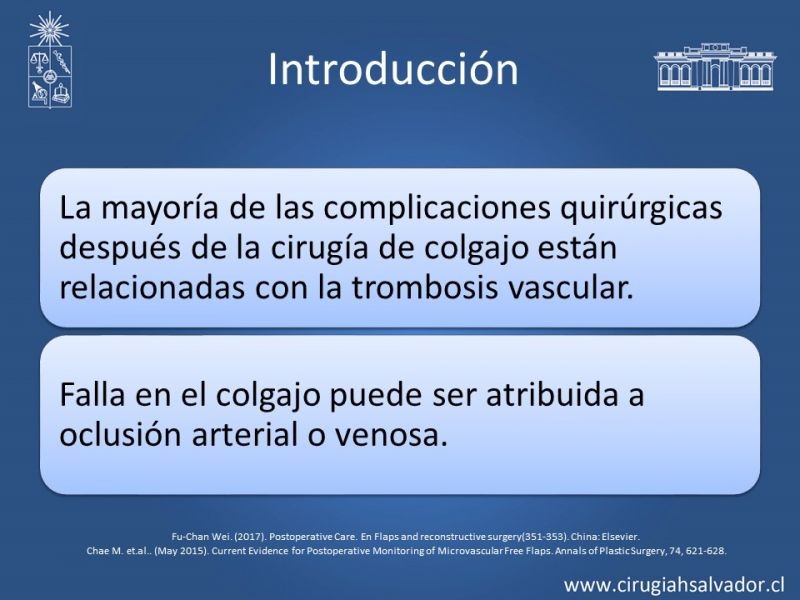 Diapositiva 3 de Monitorización de colgajos