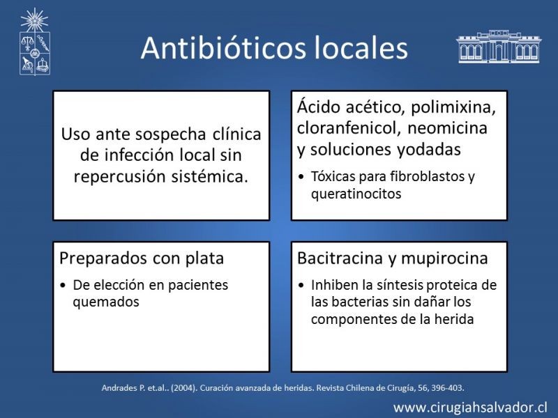 Diapositiva 29 de Curación avanzada de heridas