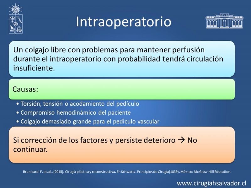 Diapositiva 8 de Monitorización de colgajos