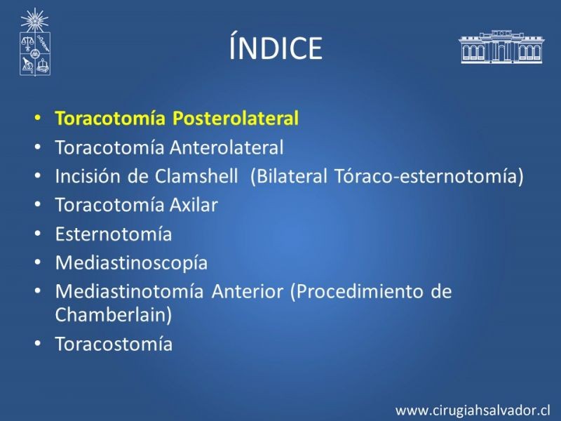 Diapositiva 5 de Accesos quirúrgicos torácicos