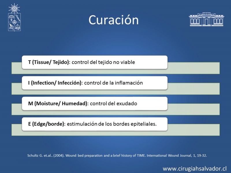 Diapositiva 14 de Curación avanzada de heridas