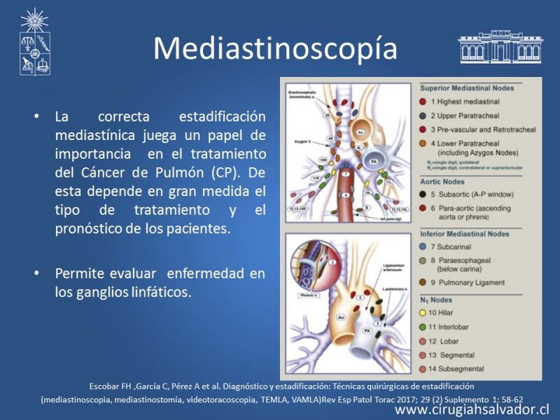 Diapositiva 57 de Accesos quirúrgicos torácicos