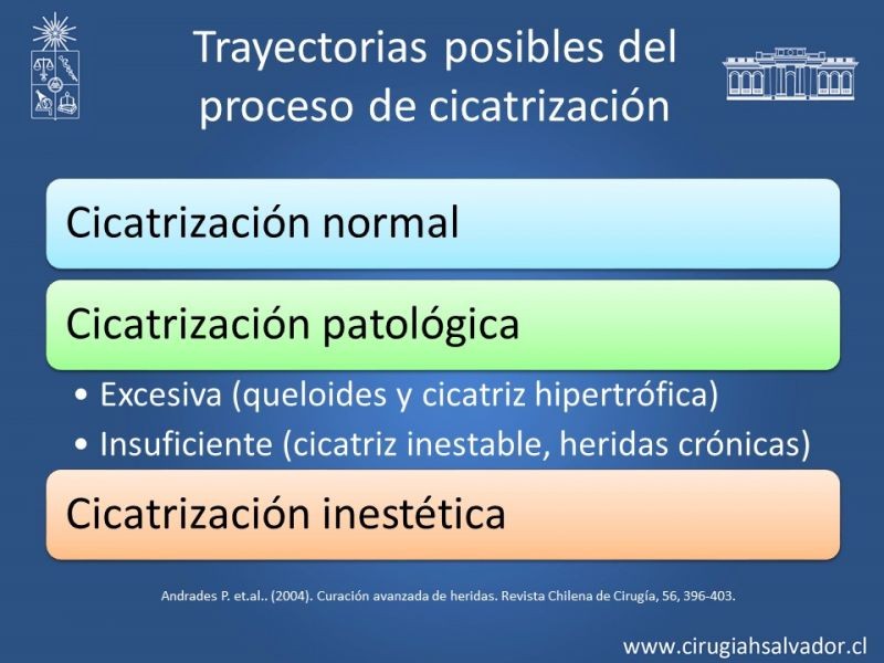 Diapositiva 10 de Curación avanzada de heridas