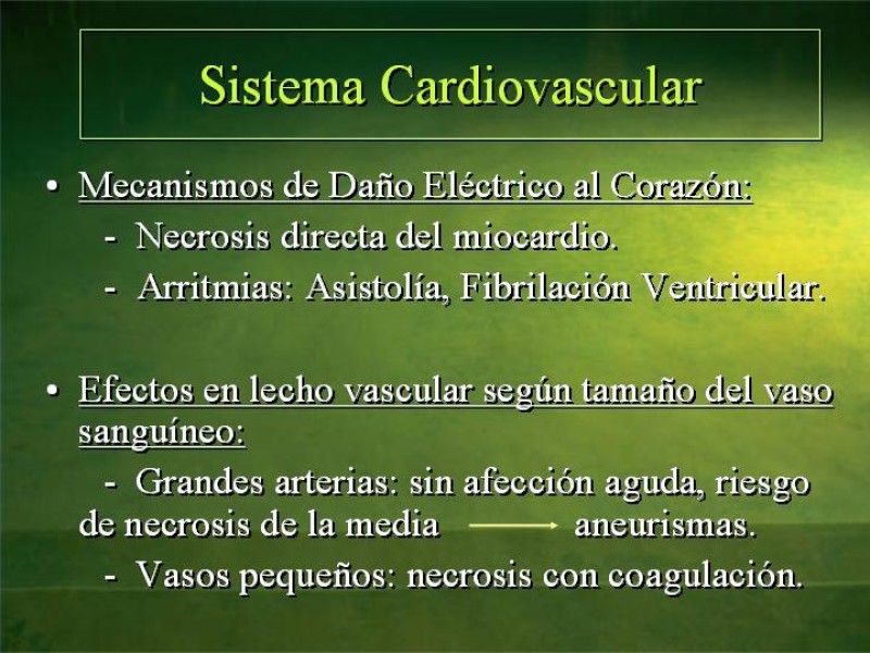 Diapositiva 35 de Lesiones Eléctricas