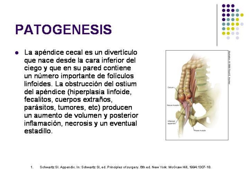 Diapositiva 6 de Imagenología y Apendicitis