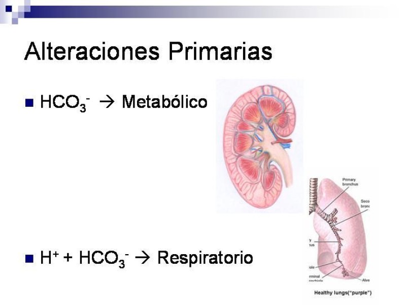 Diapositiva 3 de Equilibrio Ácido-Base