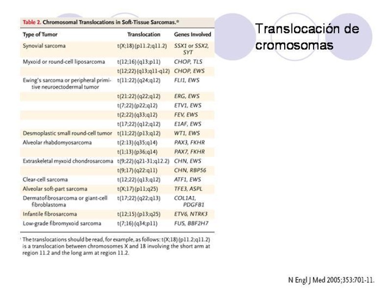 Diapositiva 6 de Sarcomas