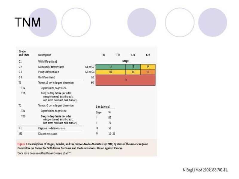 Diapositiva 23 de Sarcomas