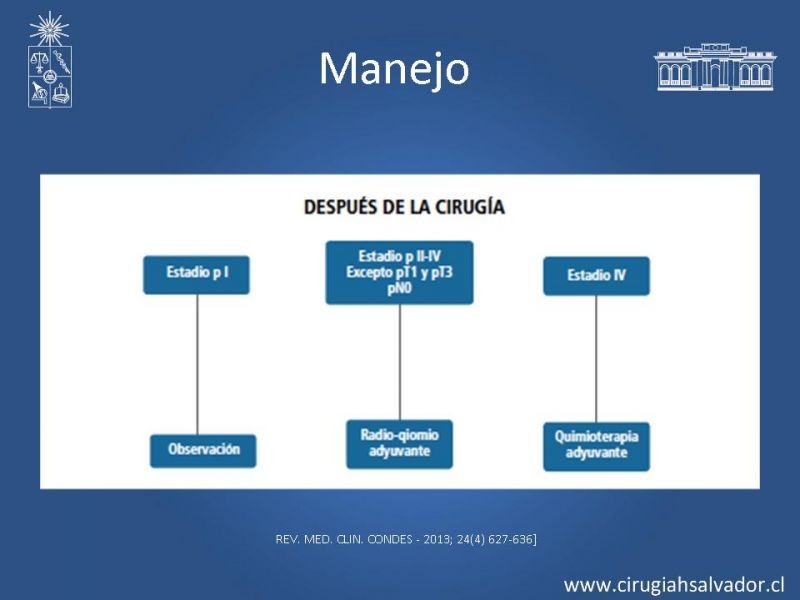Diapositiva 5 de ¿Adyuvancia en Cáncer Gástrico?