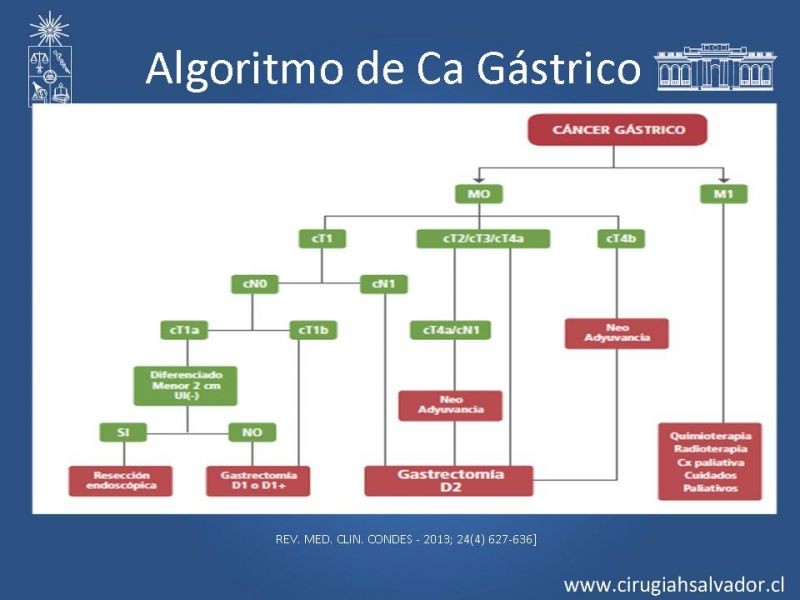 Diapositiva 4 de ¿Adyuvancia en Cáncer Gástrico?