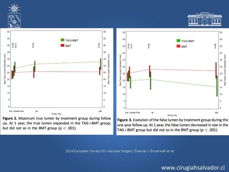 Diapositiva 31 de Manejo Endovascular vs Médico en disección aórtica Tipo B