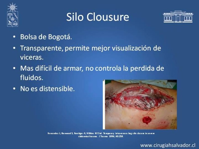 Diapositiva 17 de Open Abdomen (Laparostomía Contenida)