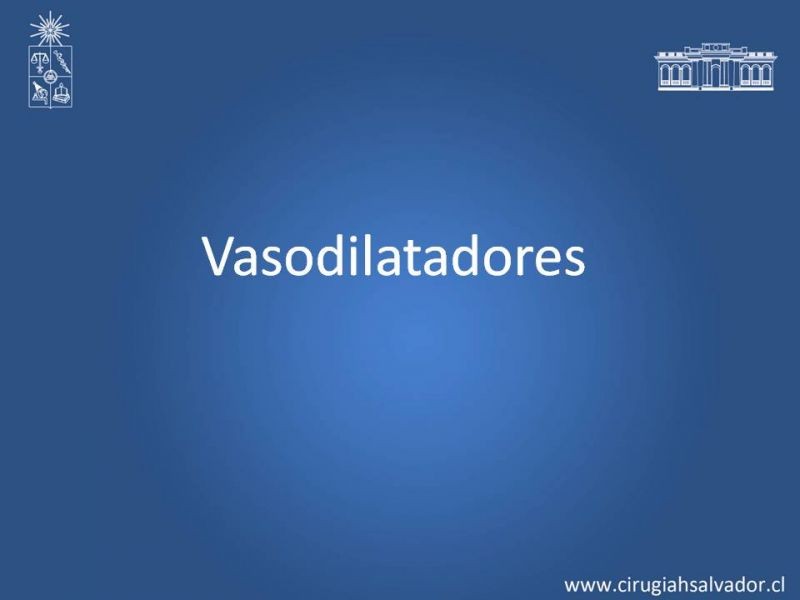 Diapositiva 12 de Drogas Vasoactivas