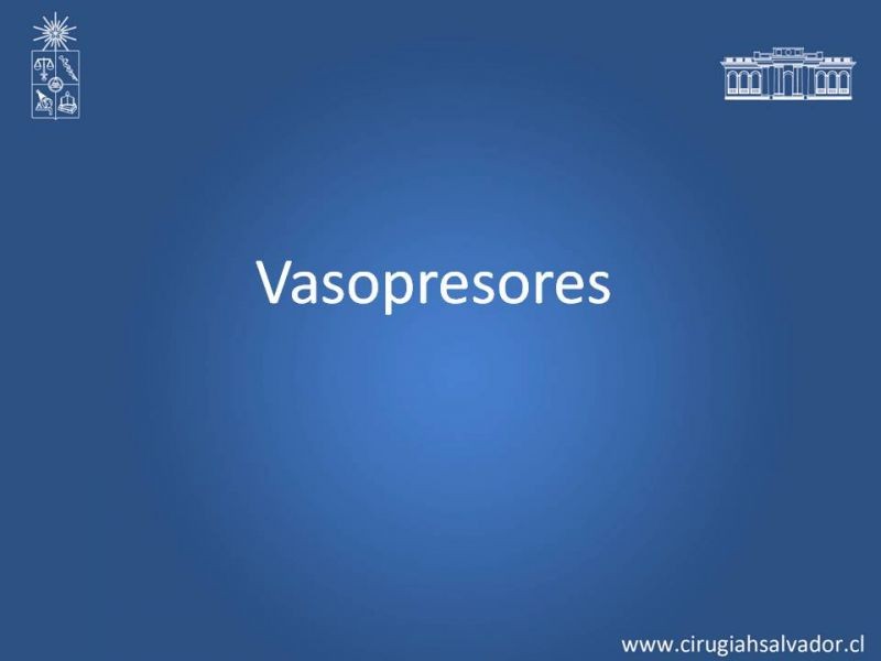 Diapositiva 4 de Drogas Vasoactivas