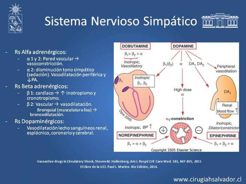 Diapositiva 3 de Drogas Vasoactivas