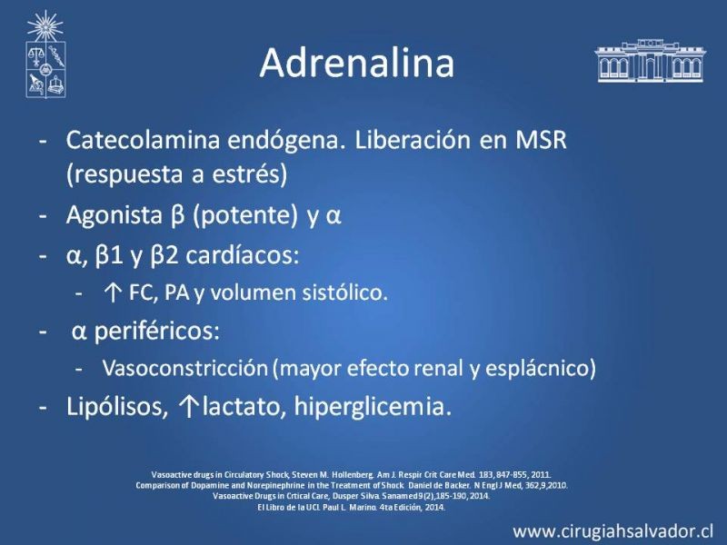 Diapositiva 7 de Drogas Vasoactivas