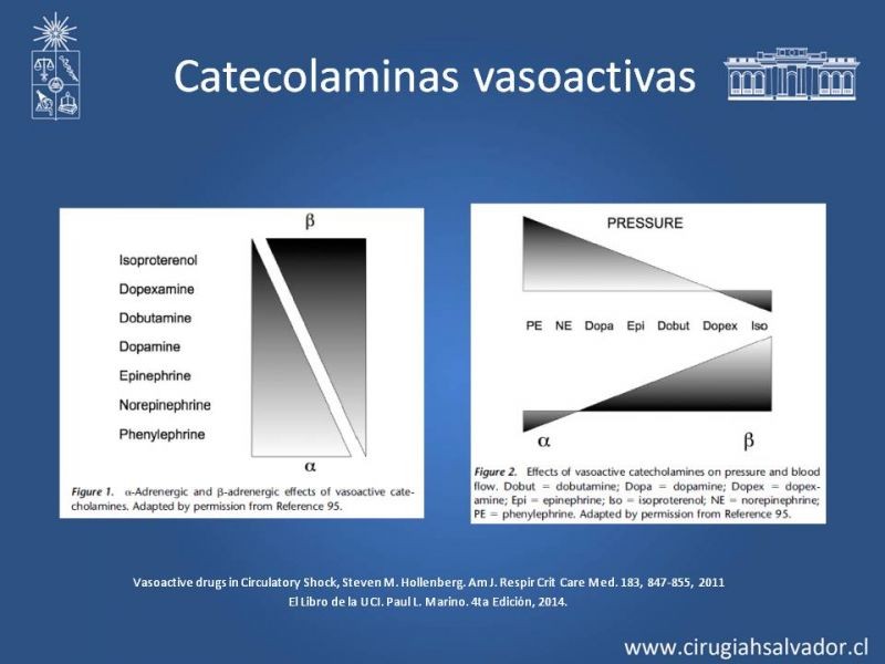 Diapositiva 24 de Drogas Vasoactivas