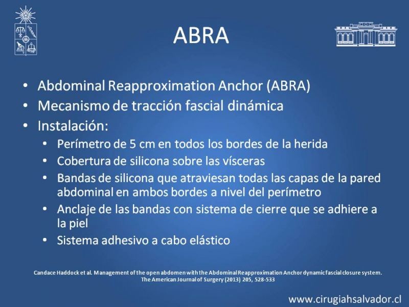 Diapositiva 24 de Alternativas de Cobertura en Abdomen Abierto