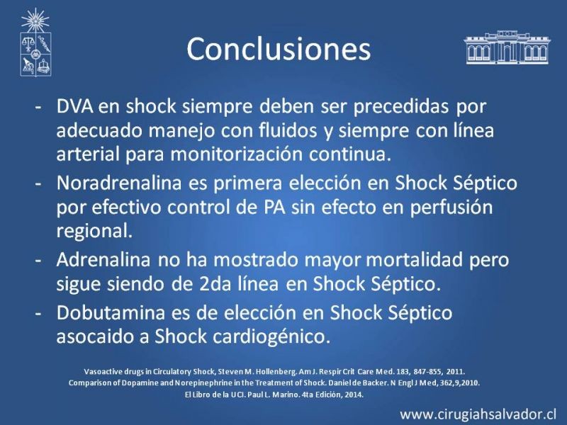 Diapositiva 26 de Drogas Vasoactivas