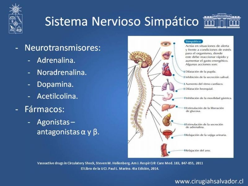 Diapositiva 1 de Drogas Vasoactivas