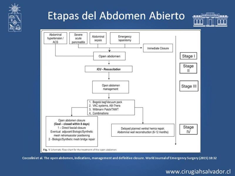Diapositiva 5 de Alternativas de Cobertura en Abdomen Abierto