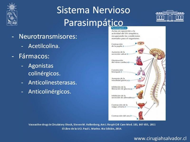 Diapositiva 2 de Drogas Vasoactivas