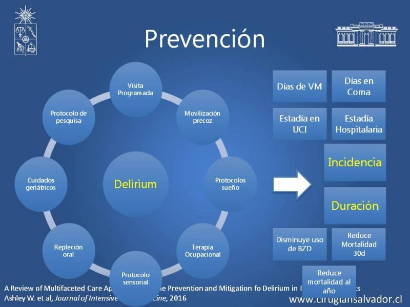 Diapositiva 11 de Delirium