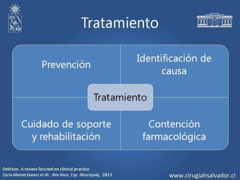 Diapositiva 24 de Delirium