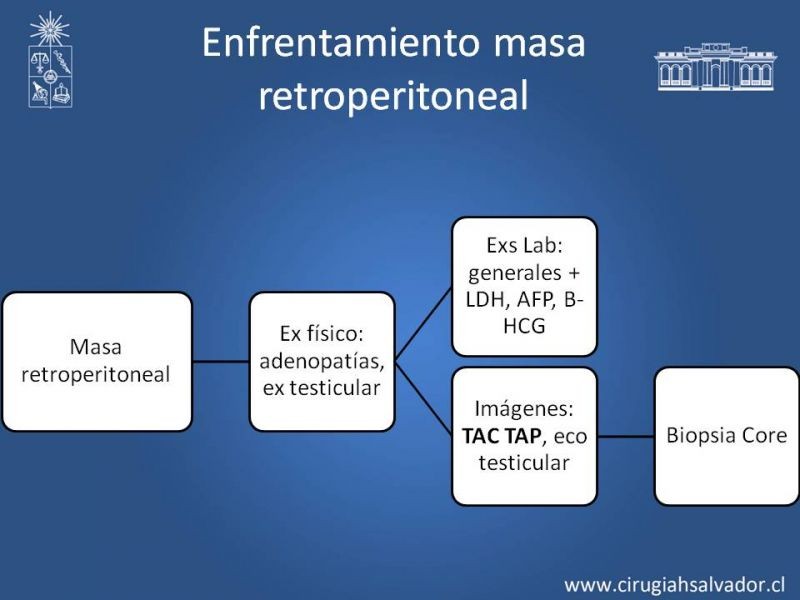 Diapositiva 6 de Sarcomas Retroperitoneales