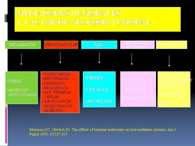 Diapositiva 20 de Shock