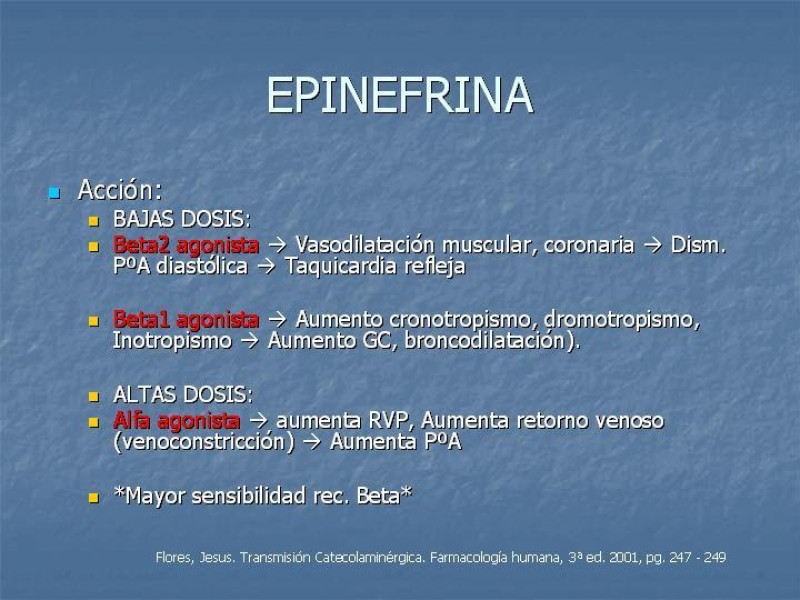 Diapositiva 16 de Drogas vasoactivas 