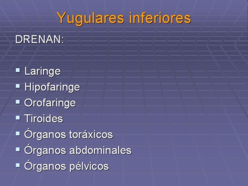 Diapositiva 31 de Disección Cervical Pt. 1