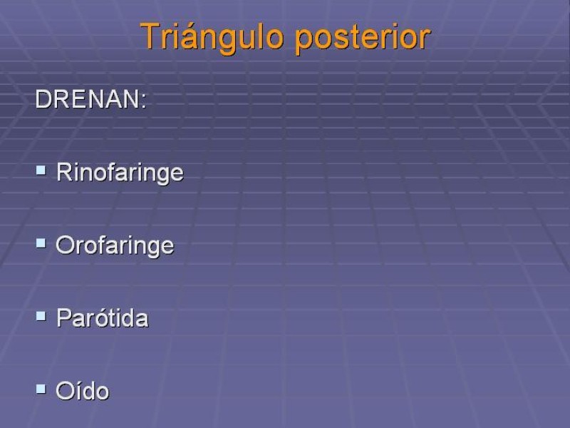 Diapositiva 32 de Disección Cervical Pt. 1