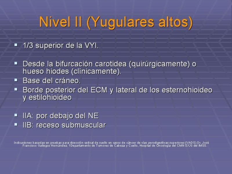 Diapositiva 21 de Disección Cervical Pt. 1