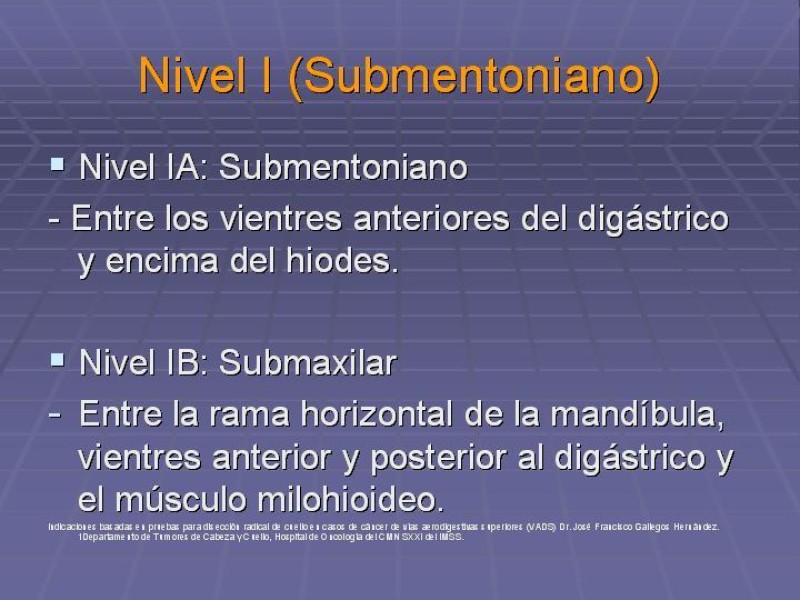 Diapositiva 20 de Disección Cervical Pt. 1