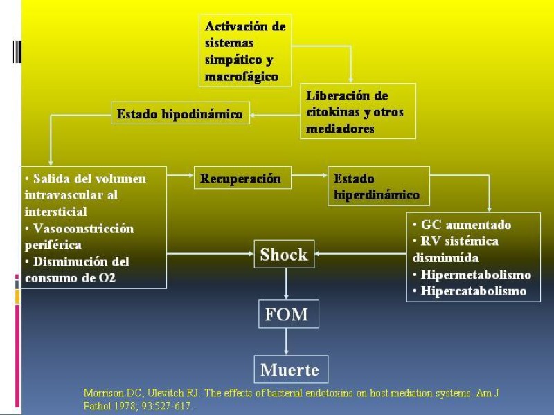 Diapositiva 22 de Shock