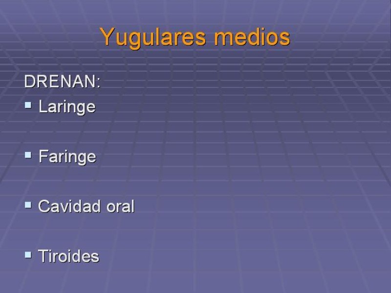 Diapositiva 30 de Disección Cervical Pt. 1