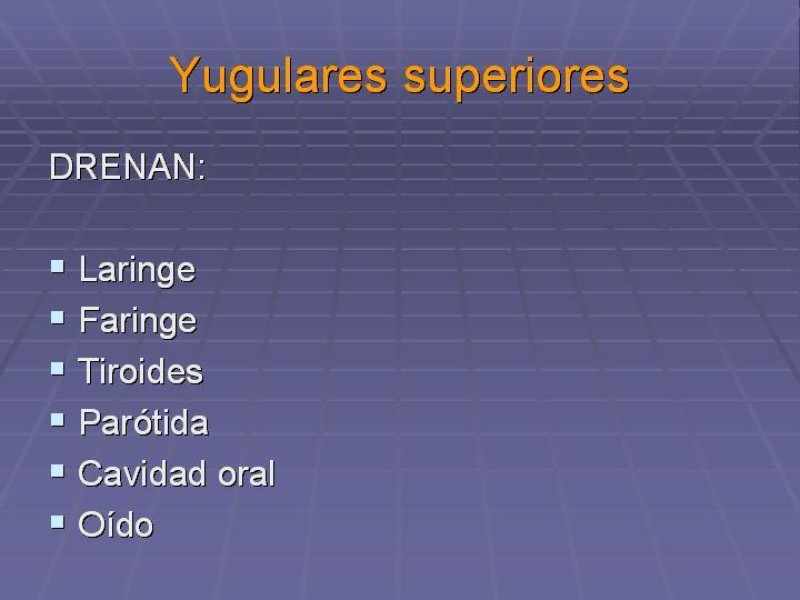 Diapositiva 29 de Disección Cervical Pt. 1