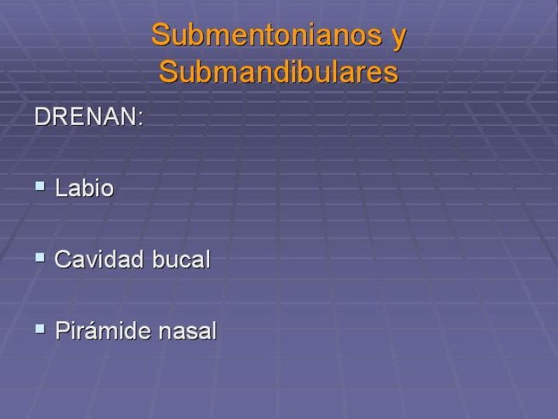 Diapositiva 28 de Disección Cervical Pt. 1