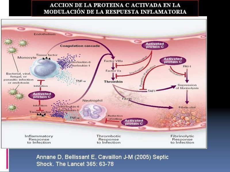 Diapositiva 44 de Shock