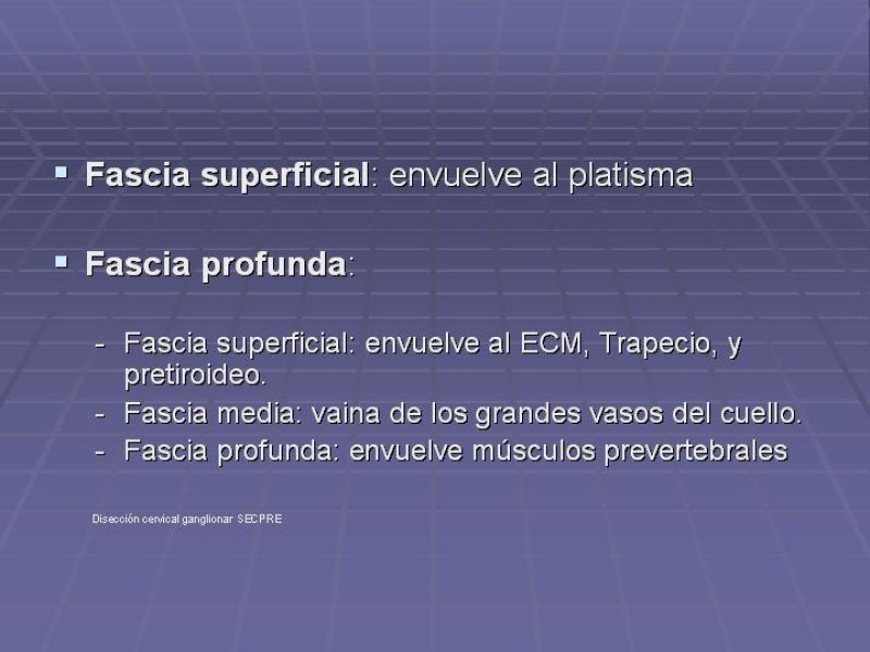 Diapositiva 11 de Disección Cervical Pt. 1