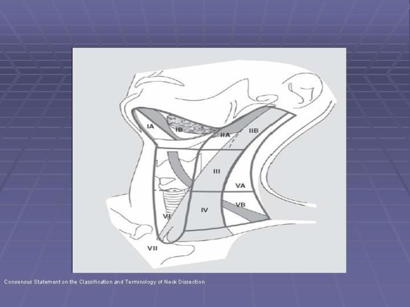 Diapositiva 26 de Disección Cervical Pt. 1