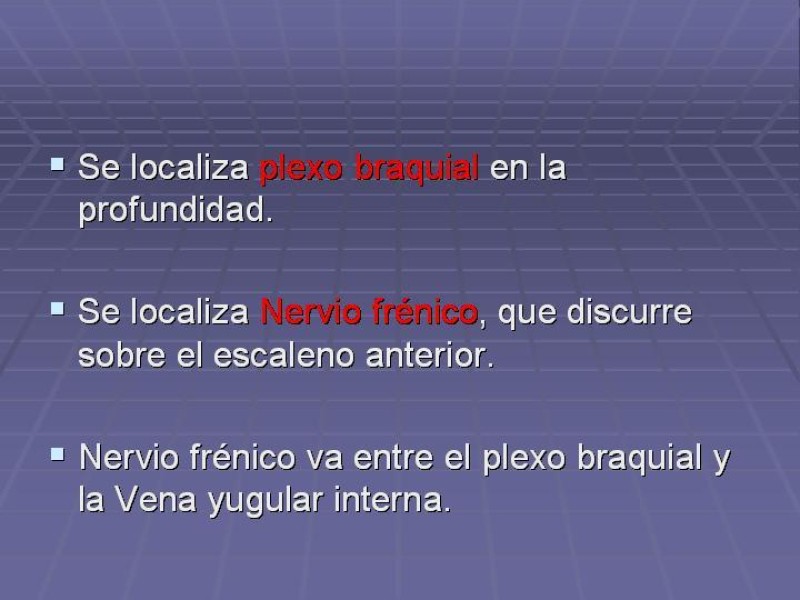 Diapositiva 19 de Disección Cervical Pt. 2