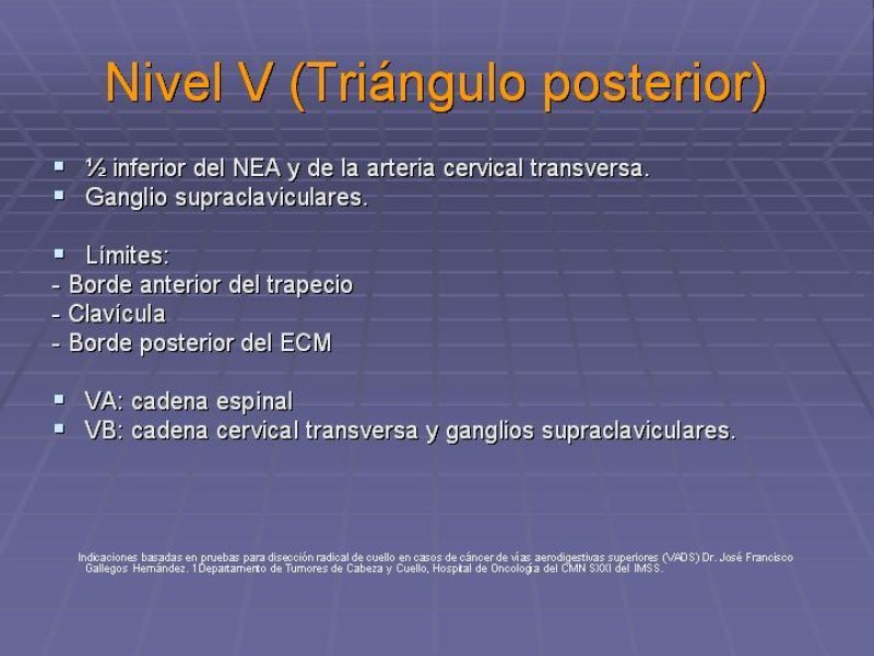 Diapositiva 24 de Disección Cervical Pt. 1