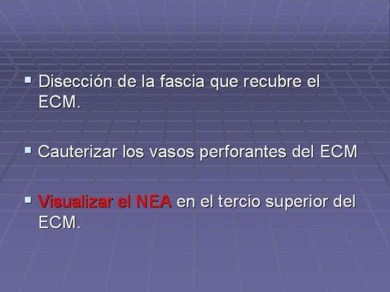 Diapositiva 39 de Disección Cervical Pt. 2