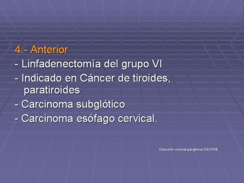 Diapositiva 40 de Disección Cervical Pt. 1