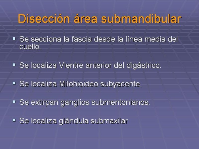 Diapositiva 29 de Disección Cervical Pt. 2