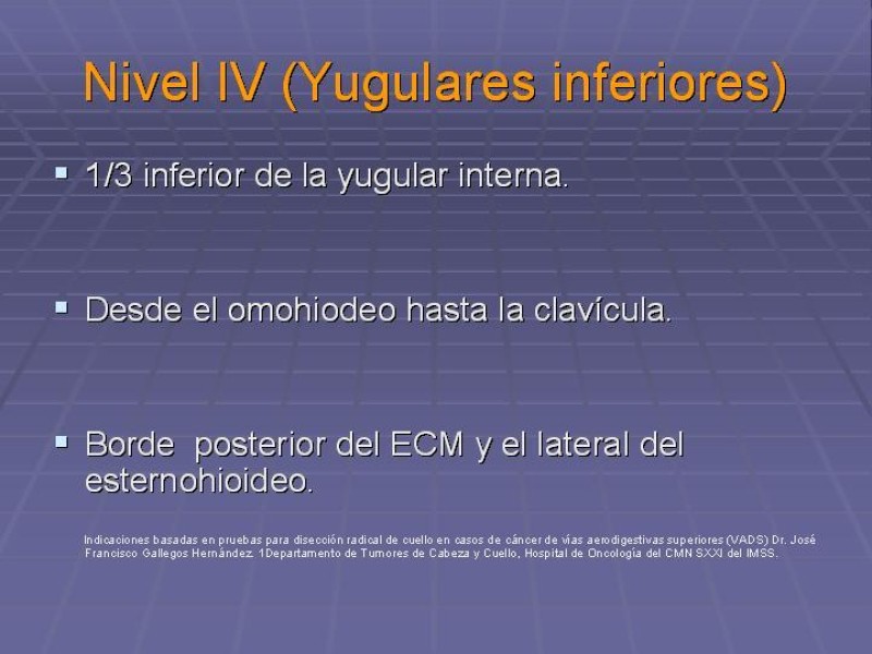Diapositiva 23 de Disección Cervical Pt. 1