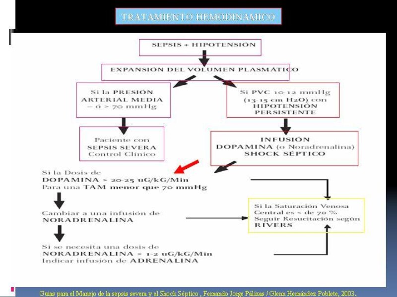 Diapositiva 46 de Shock
