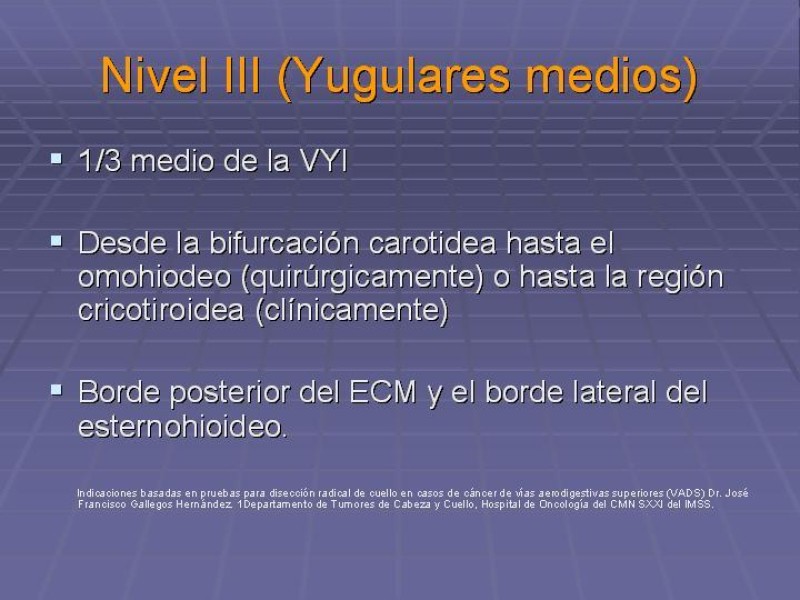 Diapositiva 22 de Disección Cervical Pt. 1